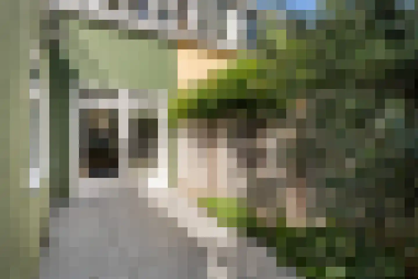 Eendrachtstraat 87 Zwolle thumbnail 16