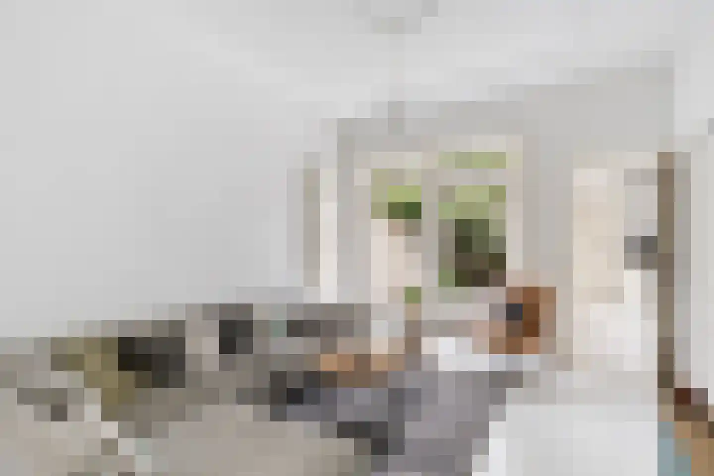 Eendrachtstraat 87 Zwolle thumbnail 6