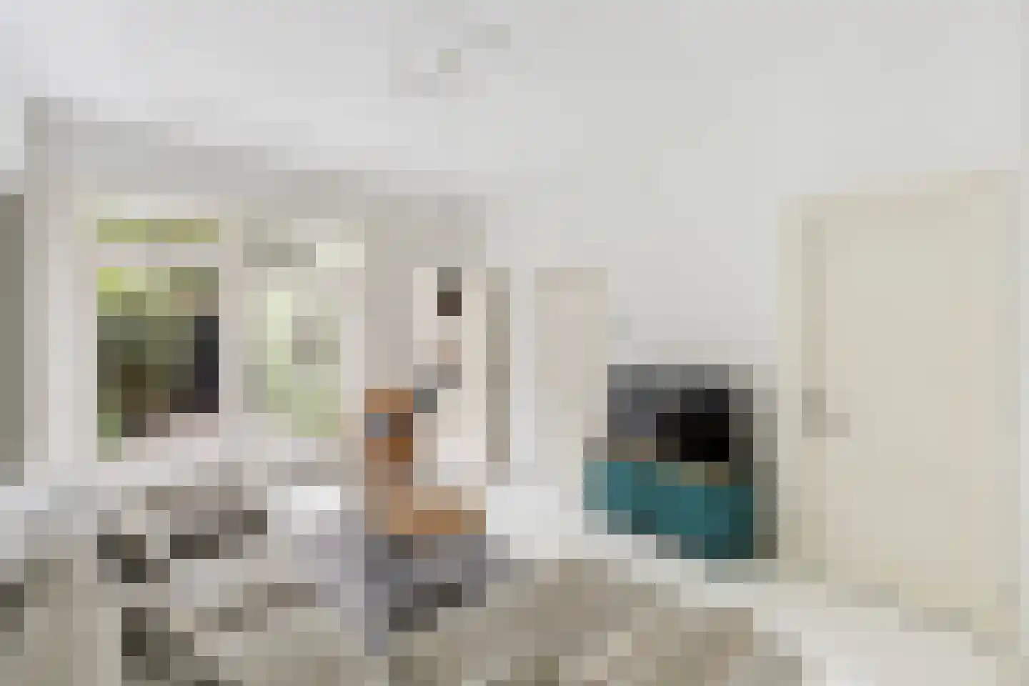 Eendrachtstraat 87 Zwolle thumbnail 7