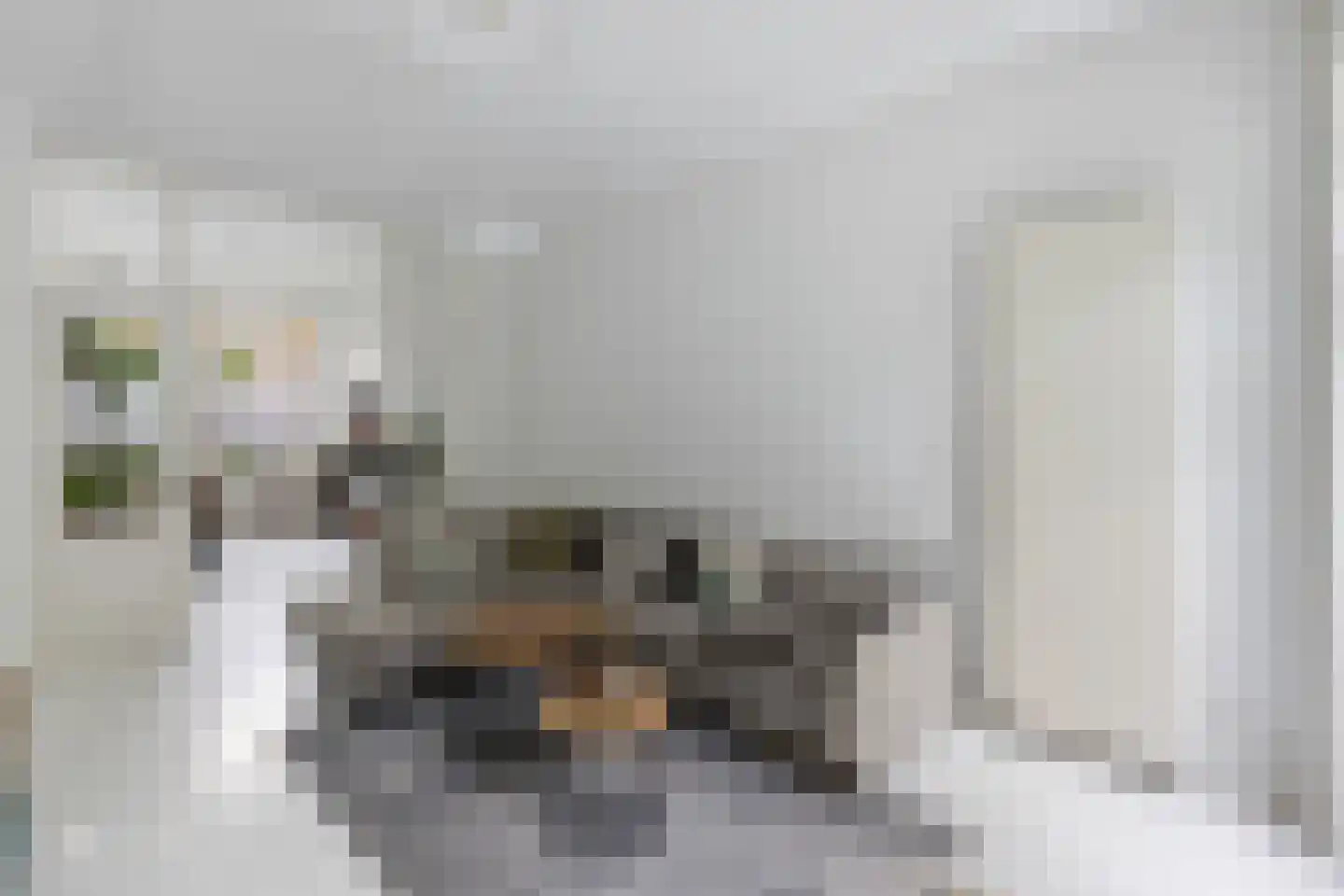 Eendrachtstraat 87 Zwolle thumbnail 8
