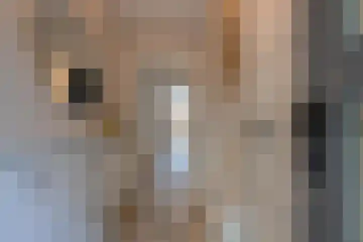 Eendrachtstraat 9 Maurik thumbnail 10