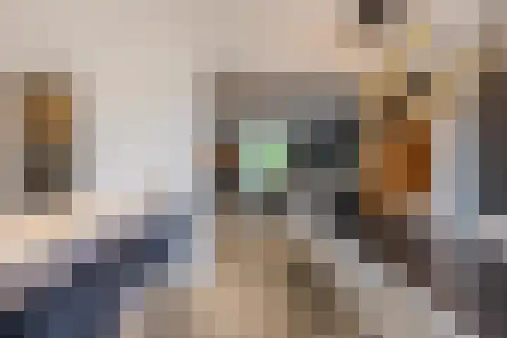 Eendrachtstraat 9 Maurik thumbnail 26