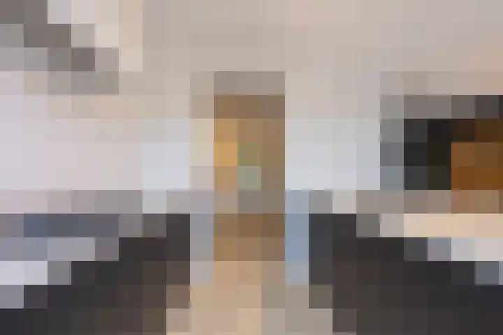 Eendrachtstraat 9 Maurik thumbnail 33