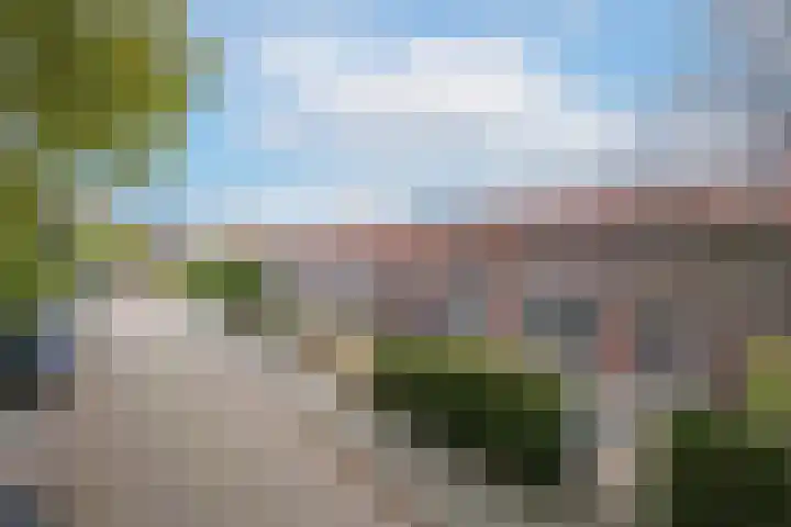Eendrachtstraat 9 Maurik thumbnail 4