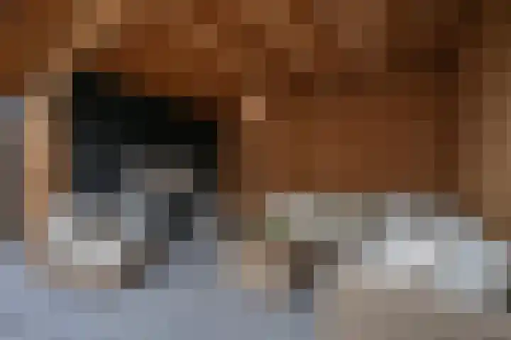 Eendrachtstraat 9 Maurik thumbnail 41
