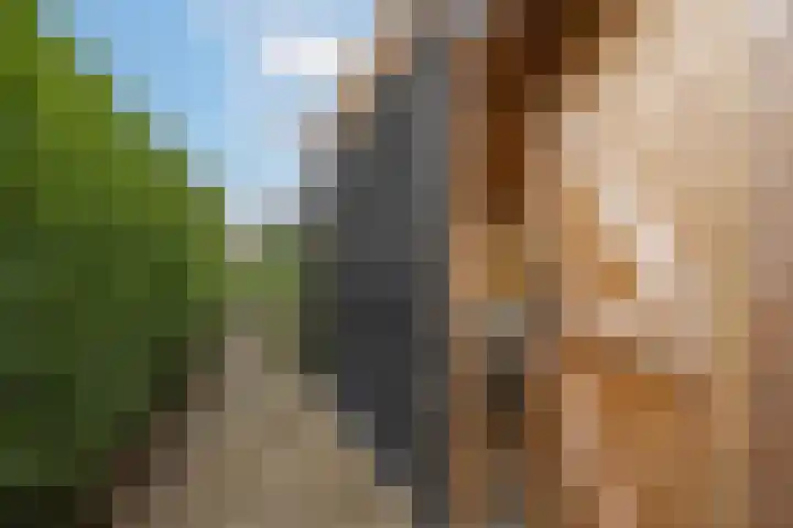 Eendrachtstraat 9 Maurik thumbnail 43