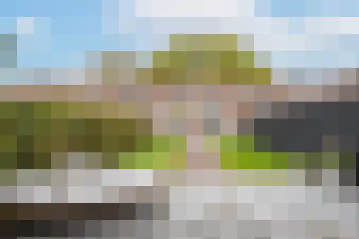 Eendrachtstraat 9 Maurik thumbnail 44