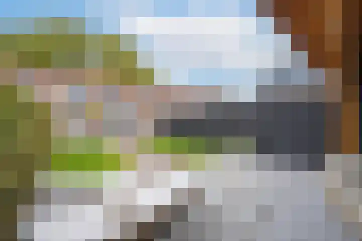 Eendrachtstraat 9 Maurik thumbnail 45