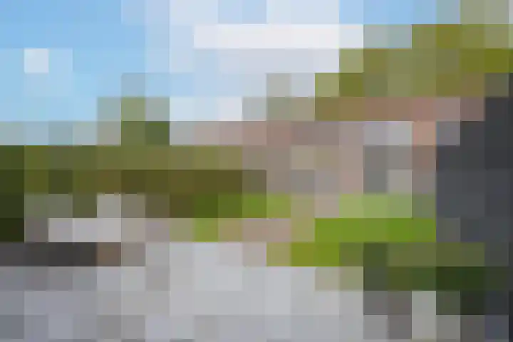 Eendrachtstraat 9 Maurik thumbnail 46