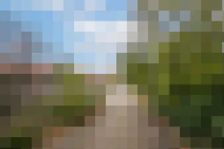 Eendrachtstraat 9 Maurik thumbnail 5