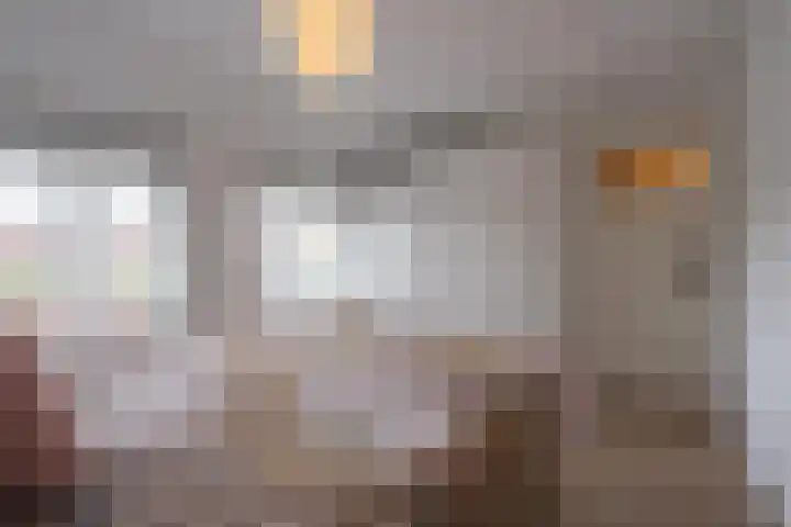Eendrachtstraat 9 Maurik thumbnail 57