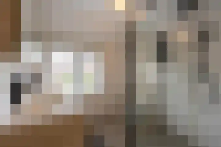 Eendrachtstraat 9 Maurik thumbnail 59