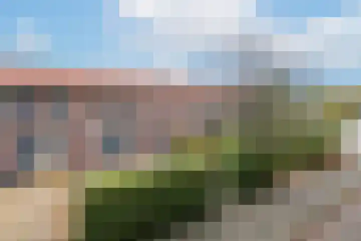 Eendrachtstraat 9 Maurik thumbnail 6