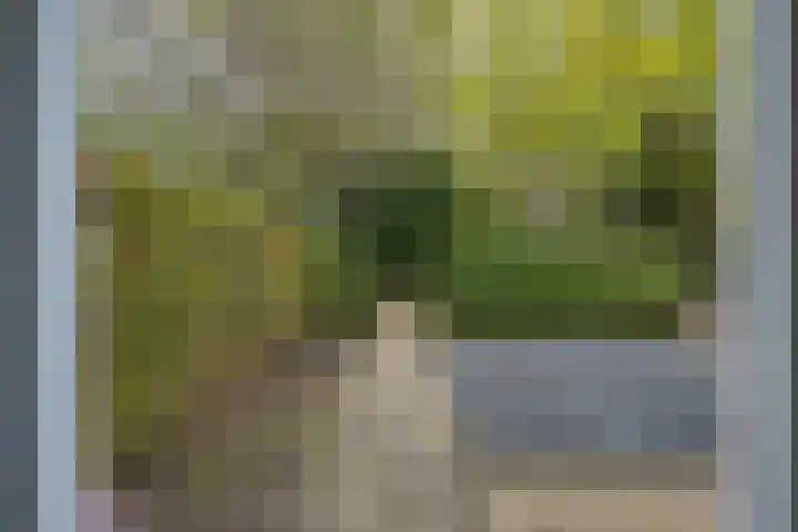 Eendrachtstraat 9 Maurik thumbnail 8