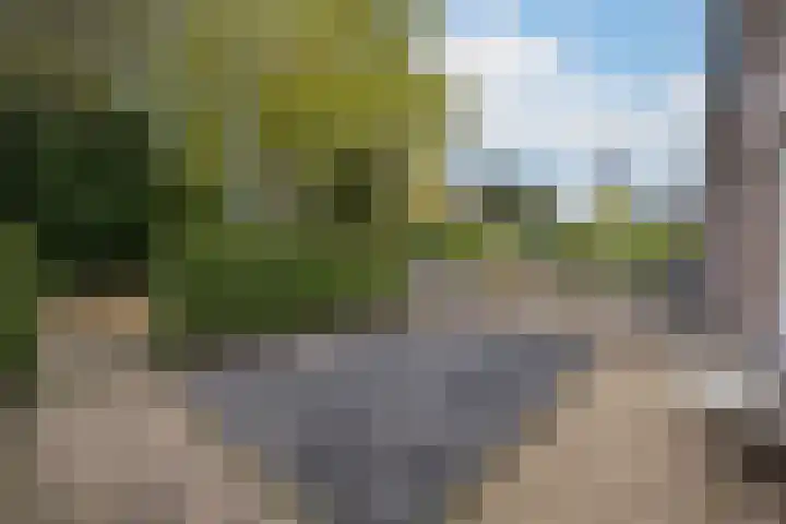 Eendrachtstraat 9 Maurik thumbnail 9
