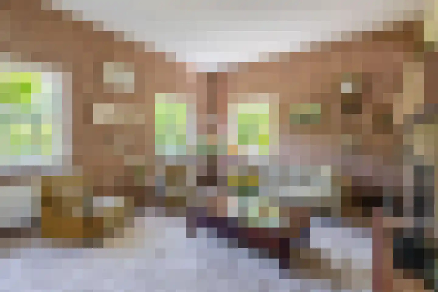 Eendrachtsweg 30 Stellendam thumbnail 14