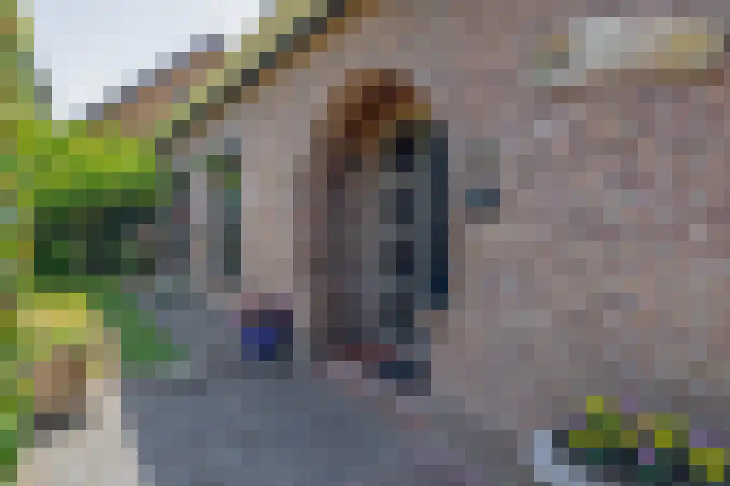Eendrachtsweg 30 Stellendam thumbnail 9