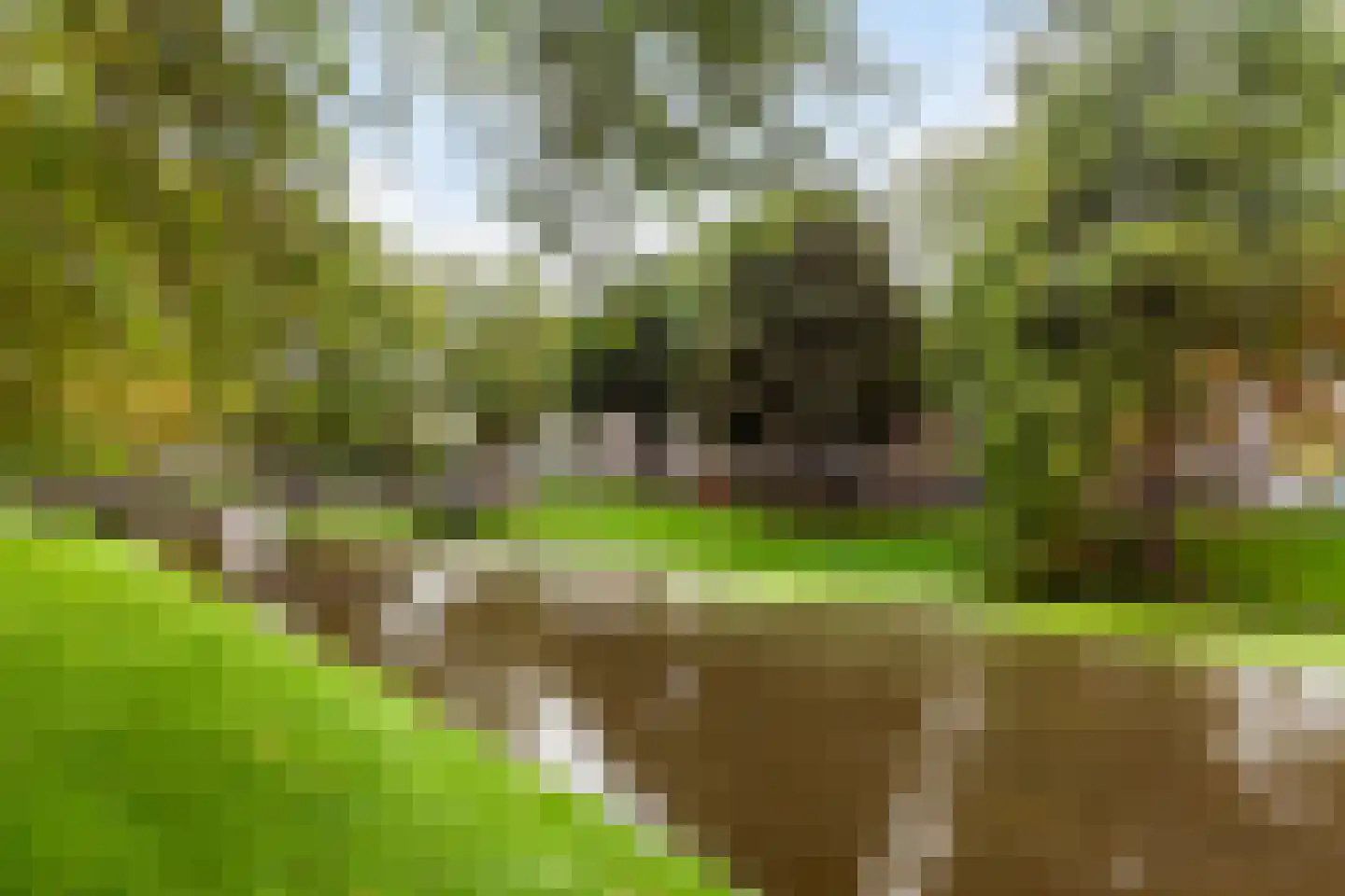 Eendrachtsweg 40 K Rotterdam thumbnail 30