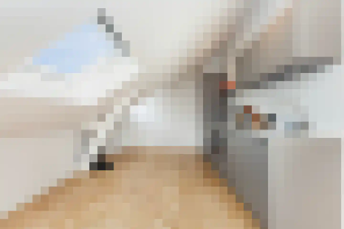 Eendrachtsweg 40 K Rotterdam thumbnail 9