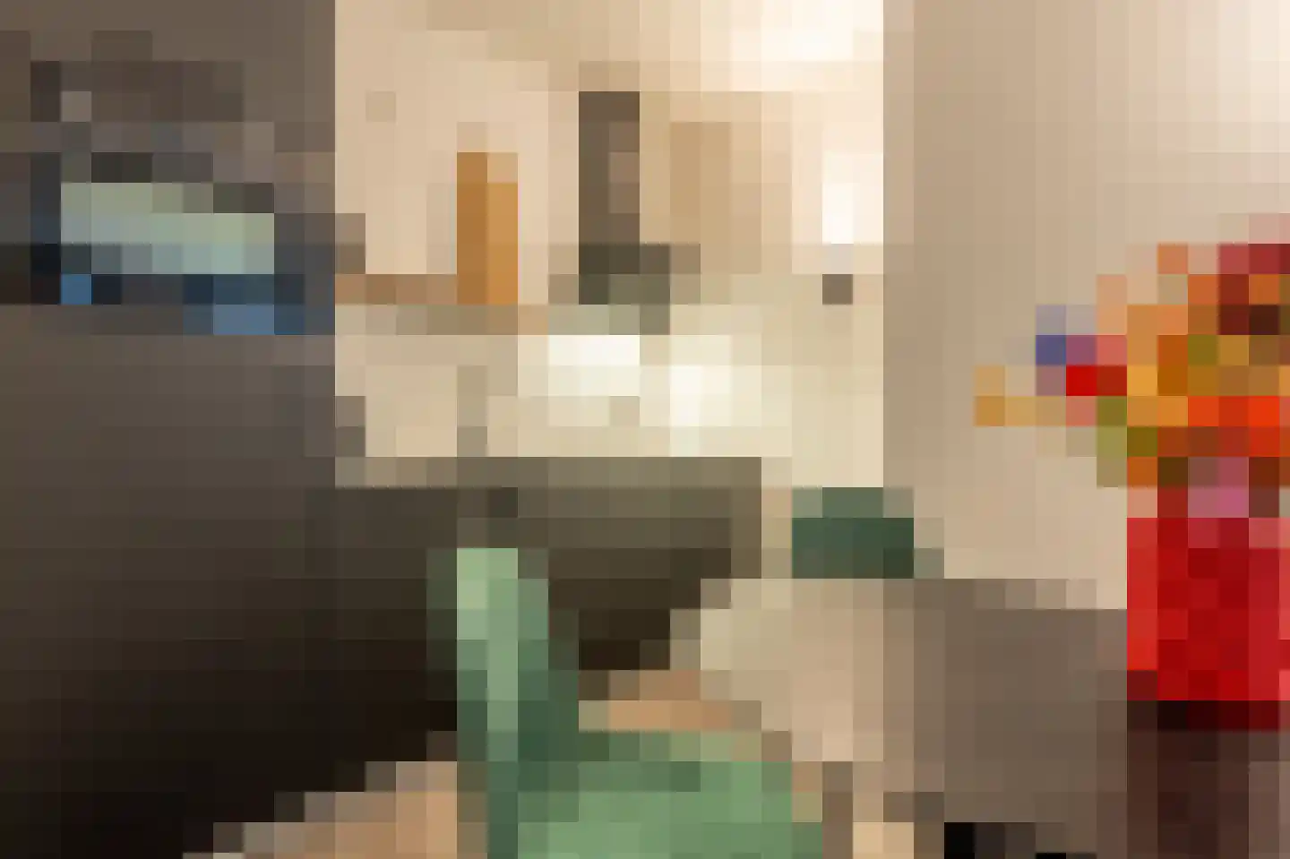 Eendrachtsweg 46 C Rotterdam thumbnail 5