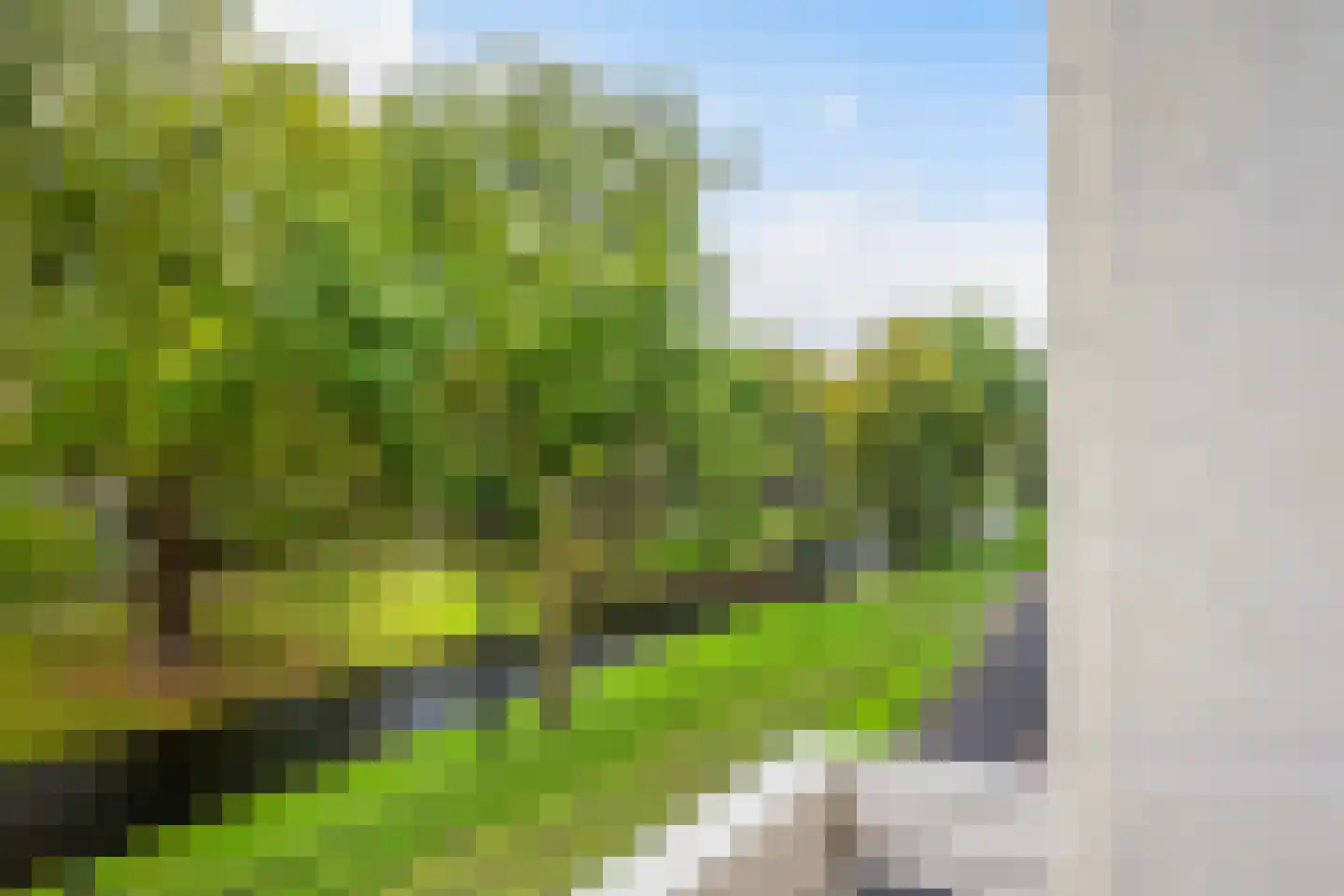 Eendrachtsweg 59 Rotterdam thumbnail 32