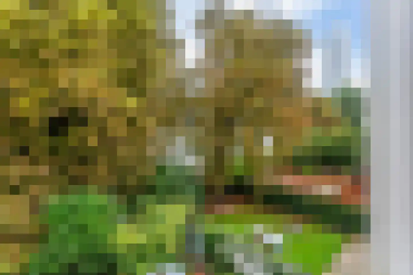 Eendrachtsweg 59 Rotterdam thumbnail 39