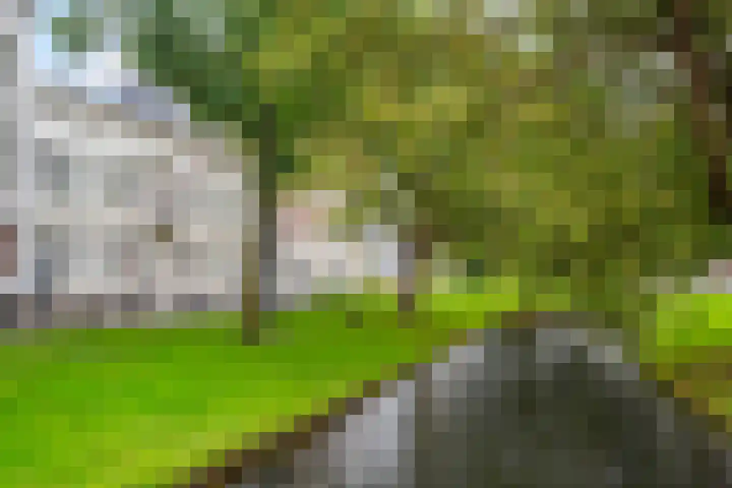 Eendrachtsweg 59 Rotterdam thumbnail 64