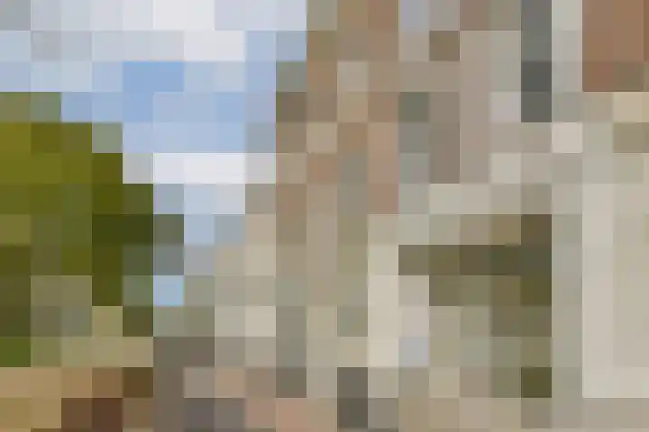 Eendrachtsweg 64 C in Rotterdam