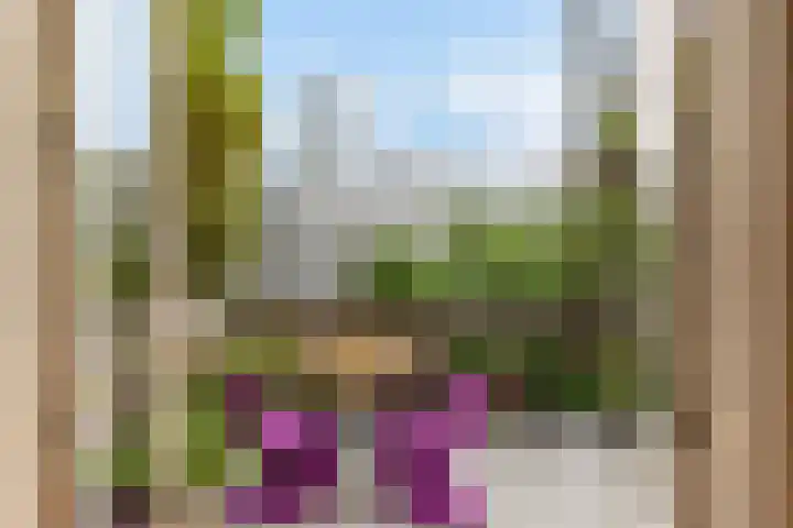 Eendrachtsweg 64 C Rotterdam thumbnail 13