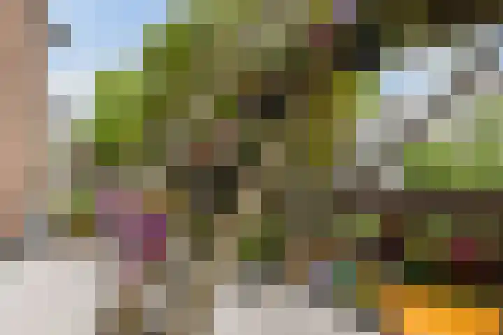 Eendrachtsweg 64 C Rotterdam thumbnail 14