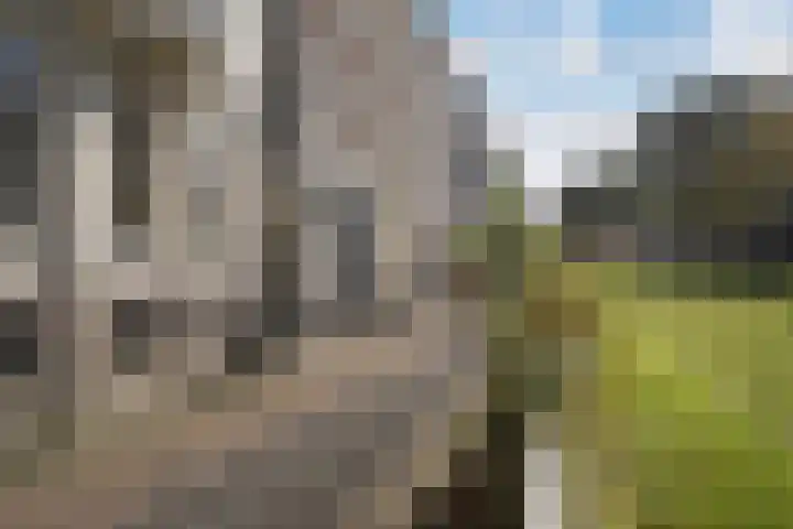 Eendrachtsweg 64 C Rotterdam thumbnail 19