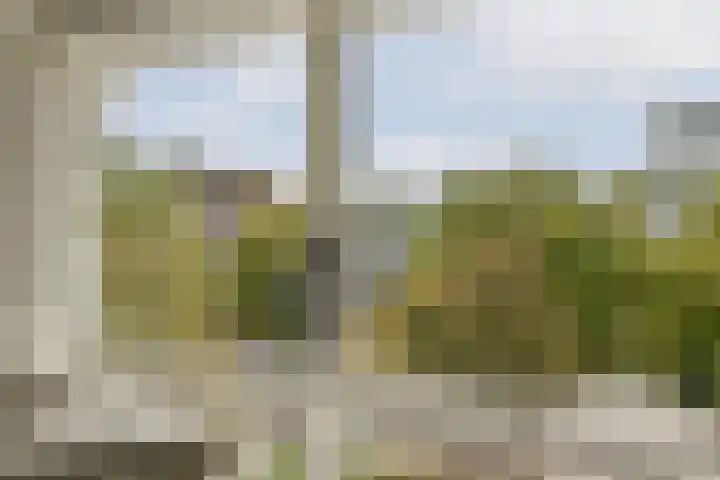 Eendrachtsweg 64 C Rotterdam thumbnail 8