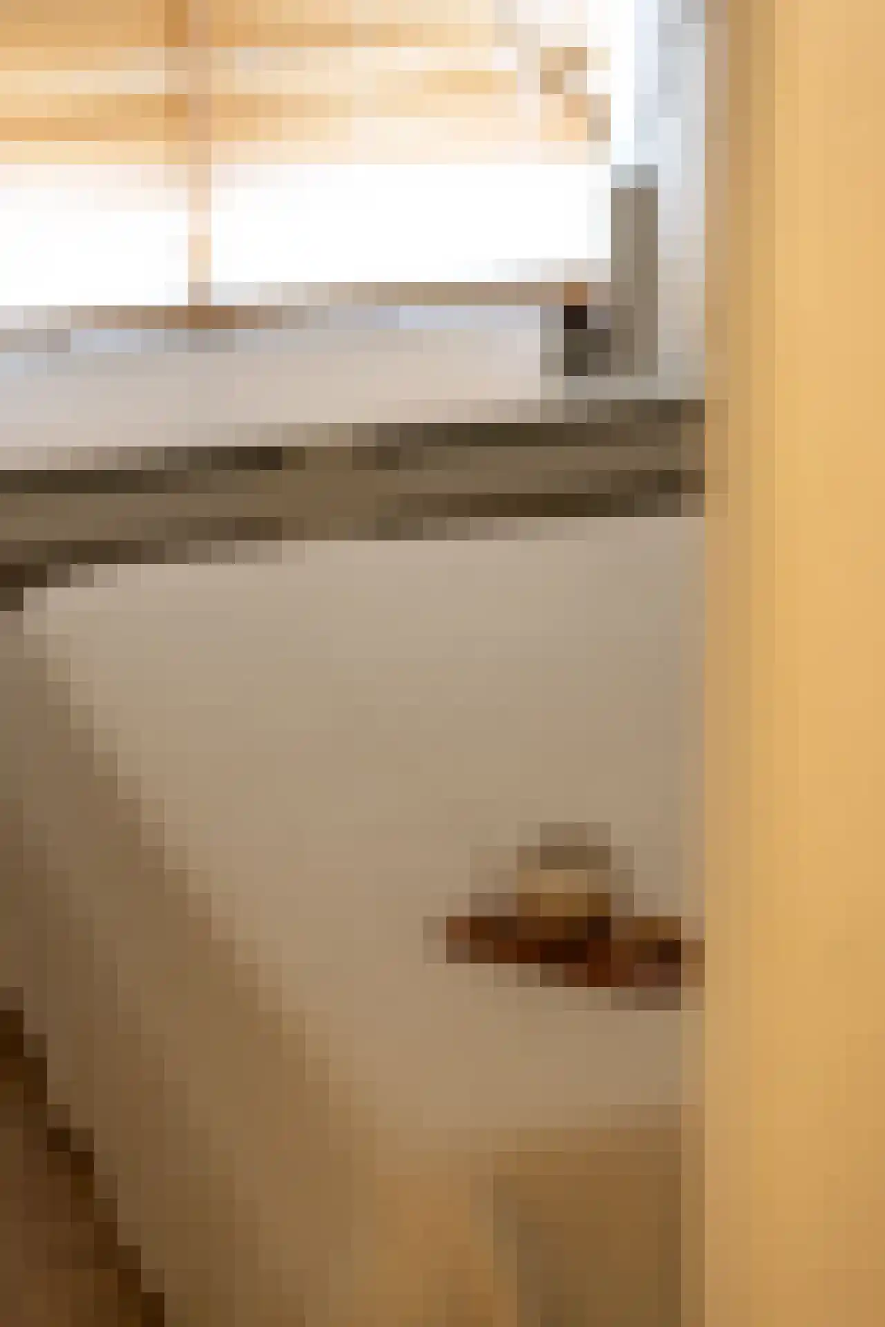 Eendrachtsweg 68 A Rotterdam thumbnail 16