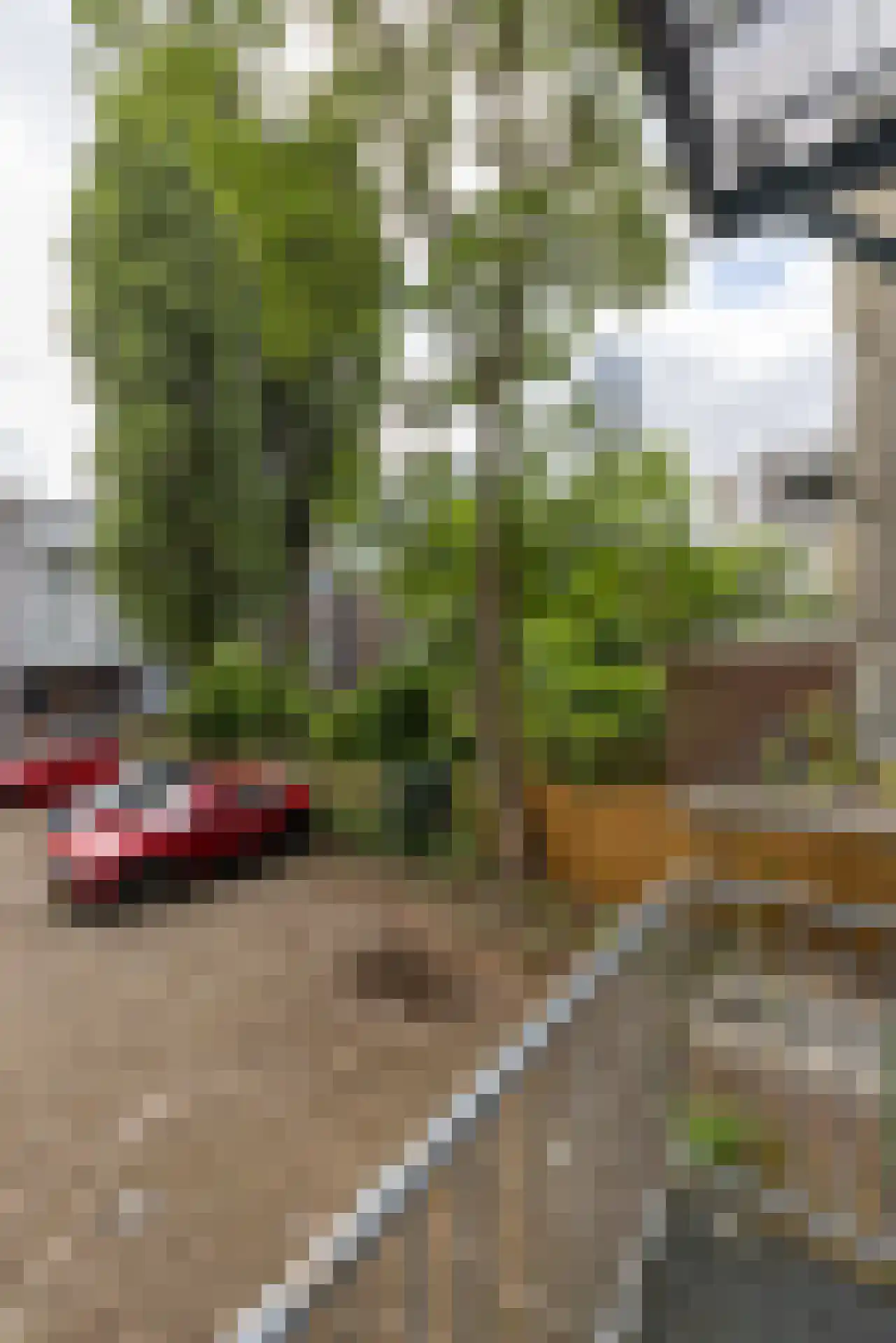 Eendrachtsweg 68 A Rotterdam thumbnail 21