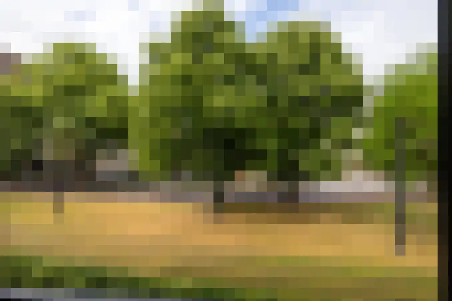Eendrachtsweg 68 C Rotterdam thumbnail 14