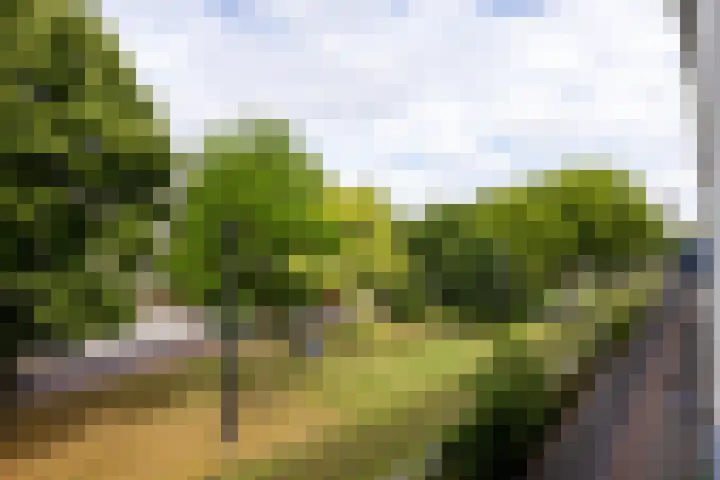 Eendrachtsweg 68 C Rotterdam thumbnail 15