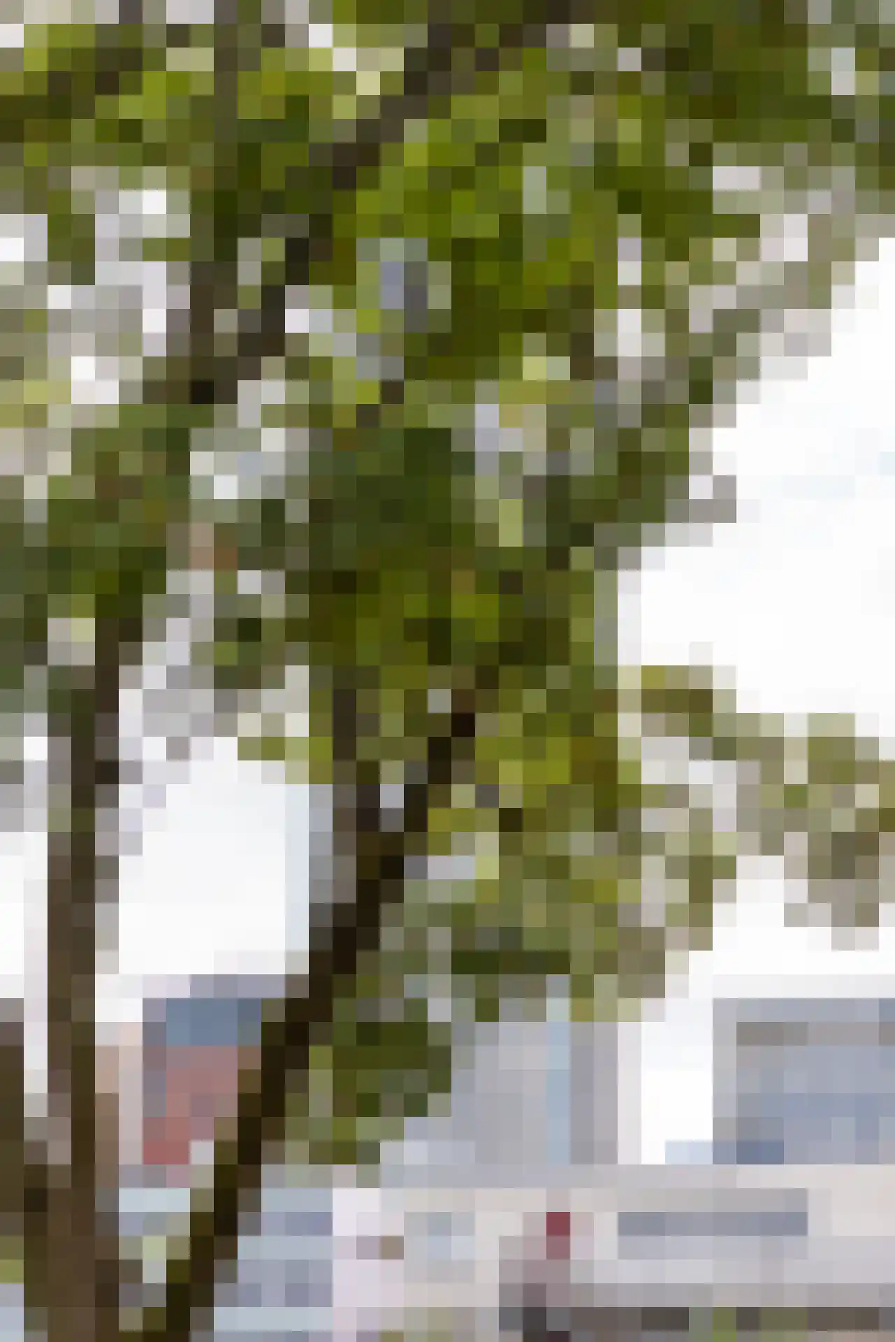 Eendrachtsweg 68 C Rotterdam thumbnail 30