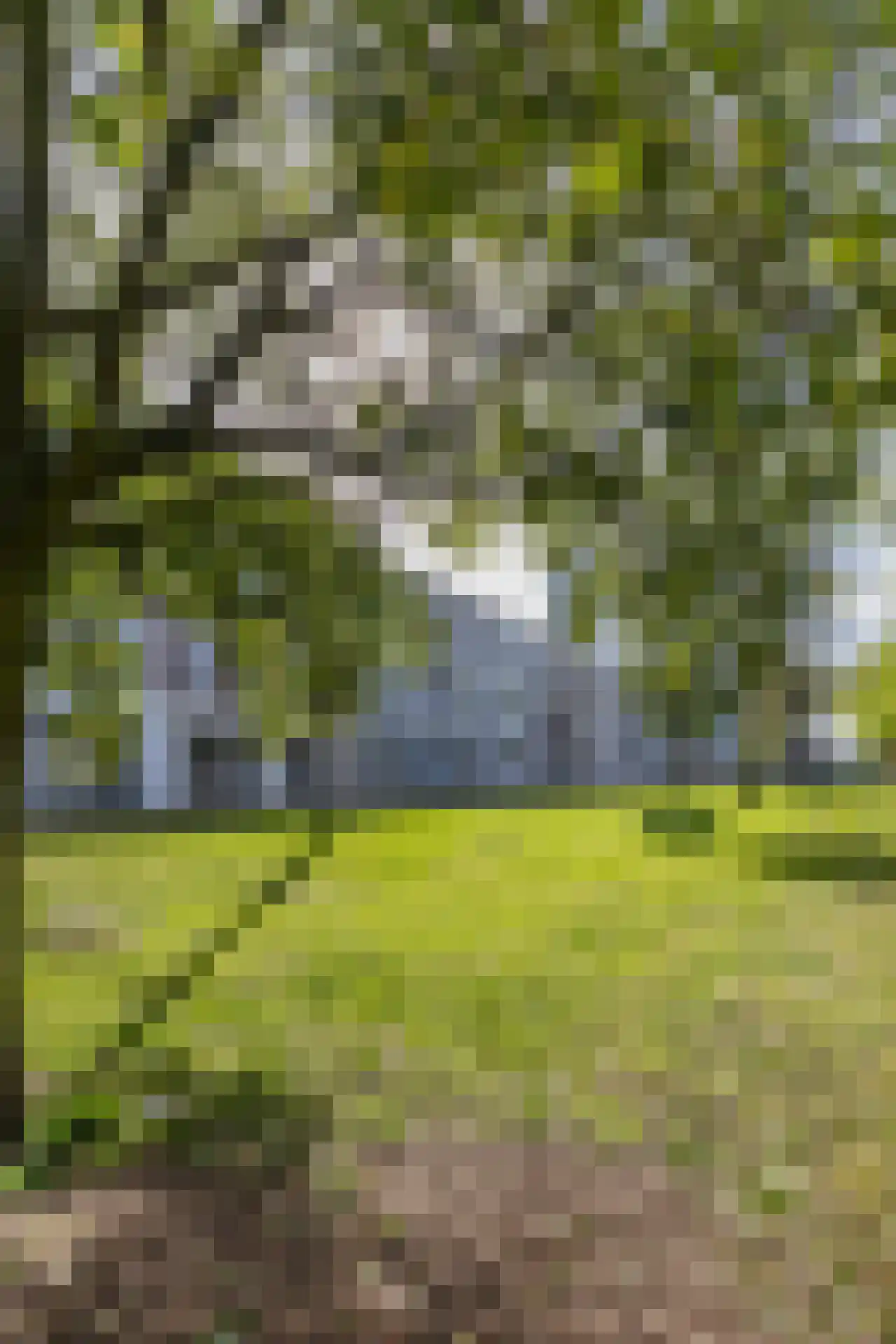Eendrachtsweg 68 D Rotterdam thumbnail 17