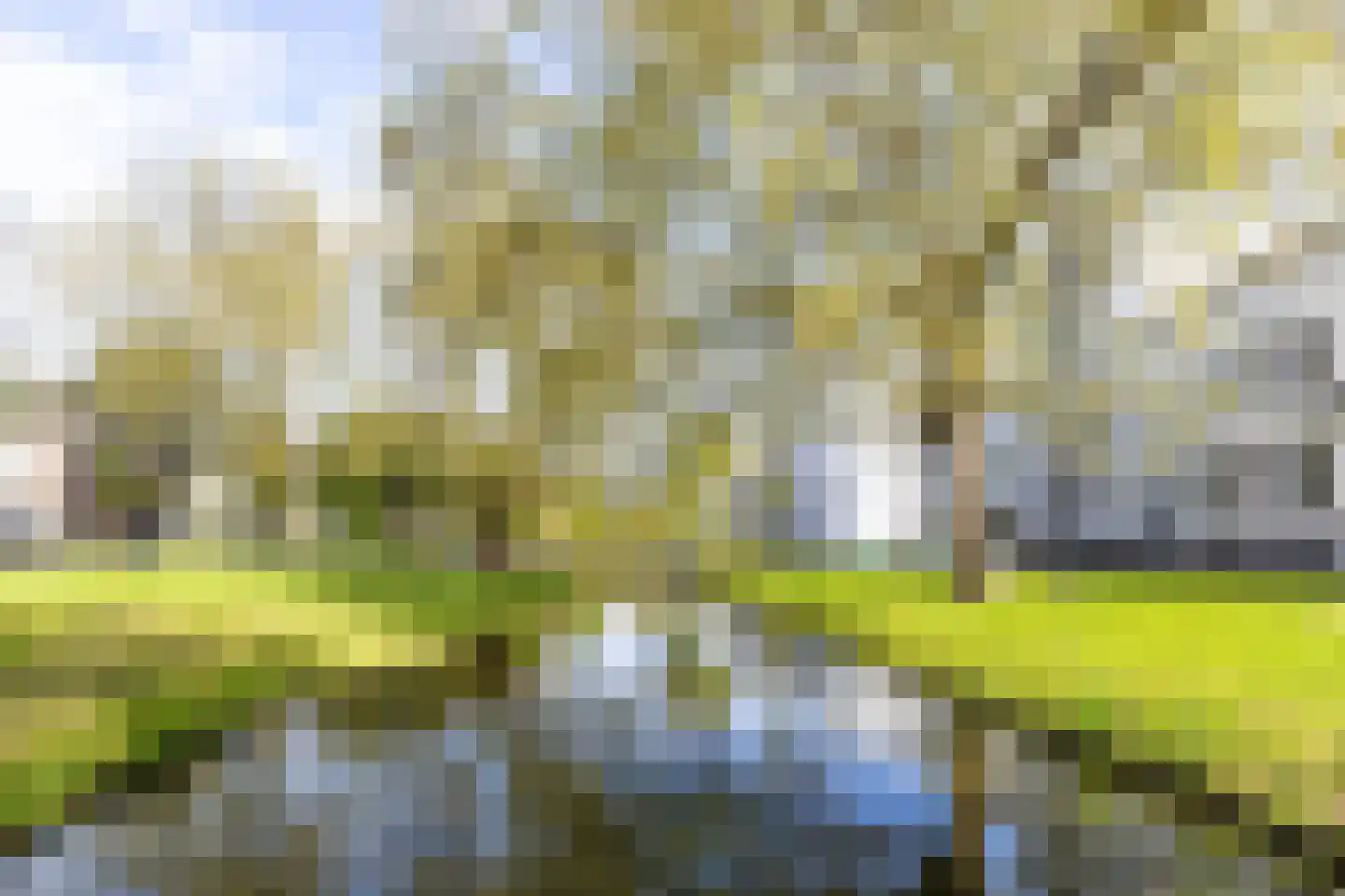 Eendrachtsweg 68 D Rotterdam thumbnail 5
