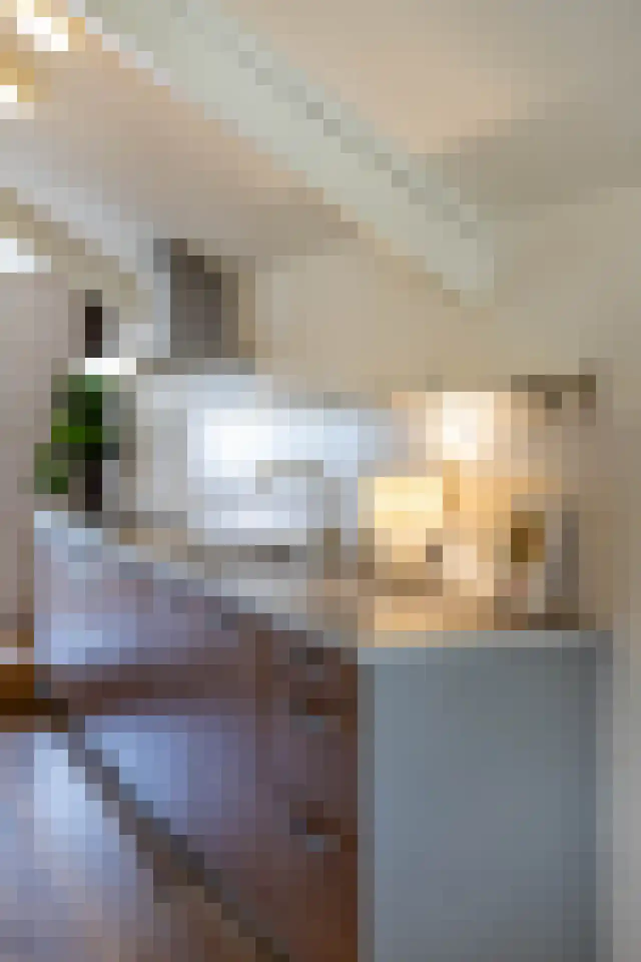 Eendrachtsweg 68 D Rotterdam thumbnail 8