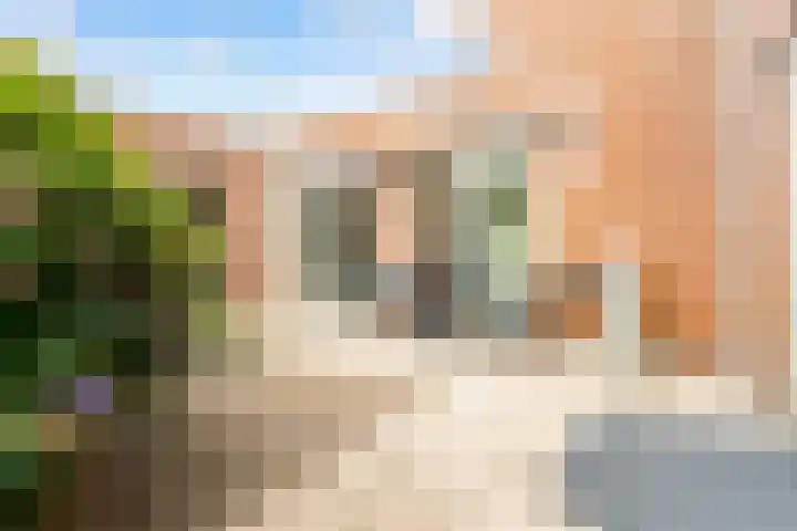Eendragt 6 Lelystad thumbnail 22