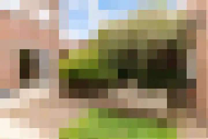 Eendragt 6 Lelystad thumbnail 23
