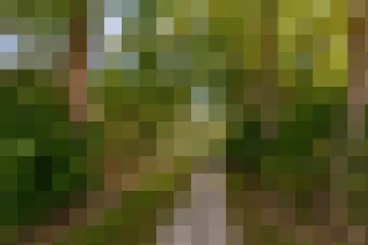 Eendragt 6 Lelystad thumbnail 28