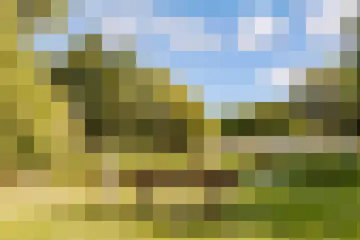 Eendragt 6 Lelystad thumbnail 30