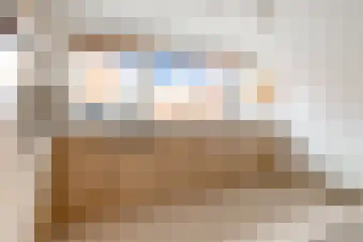 Eendragt 6 Lelystad thumbnail 7
