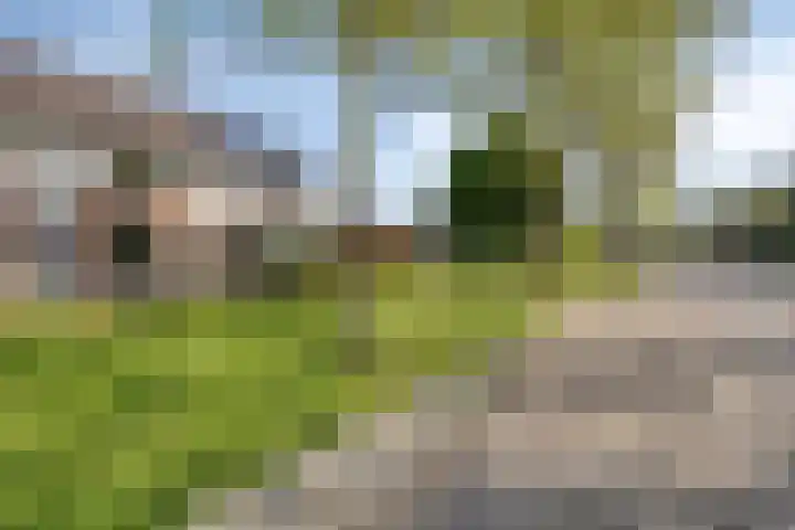 Eendvogelstraat 38 Heinkenszand thumbnail 4