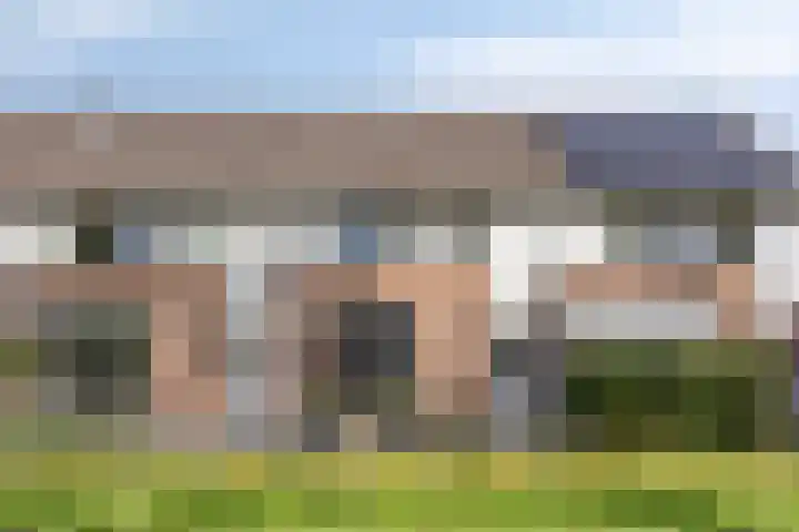 Eendvogelstraat 38 Heinkenszand thumbnail 5