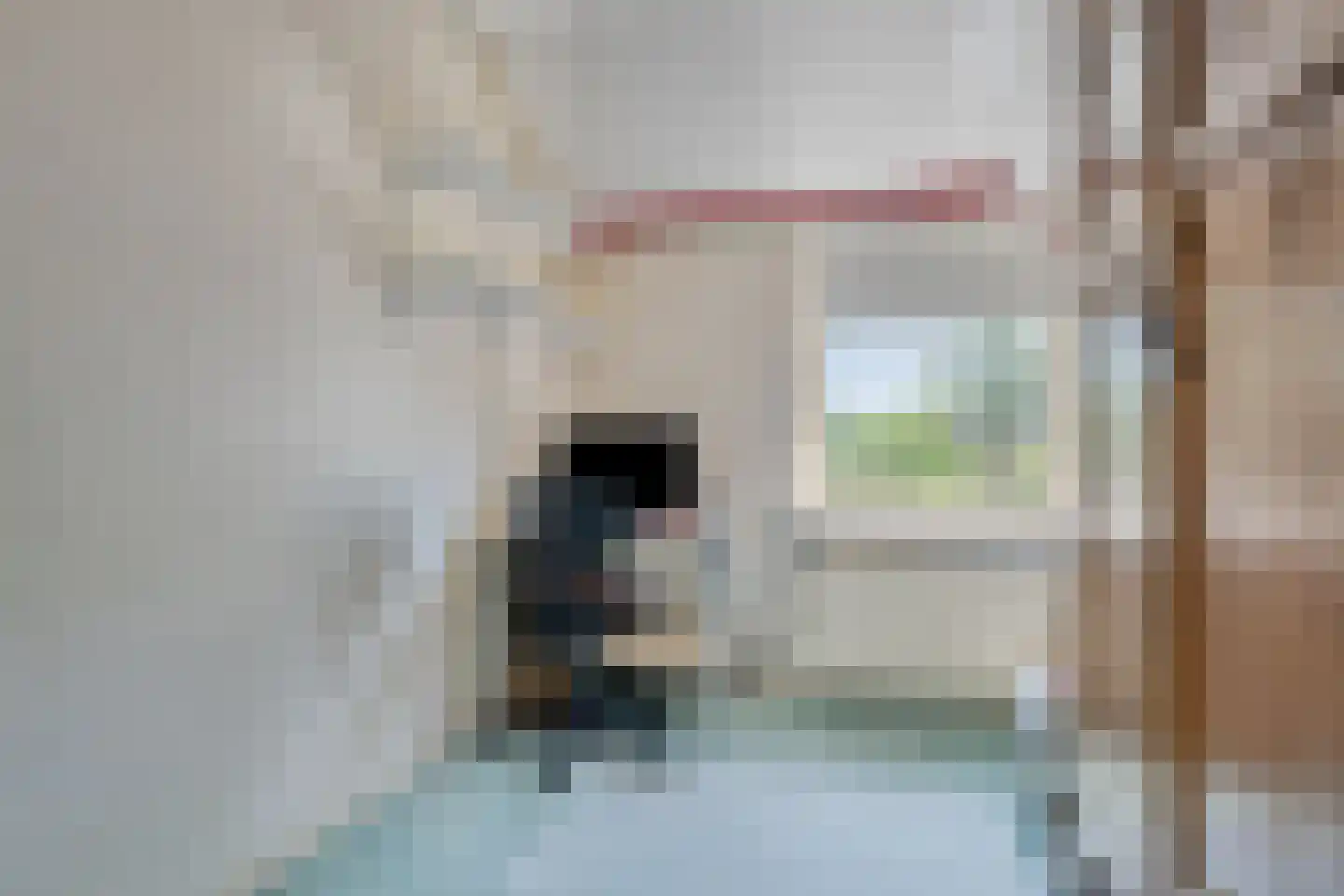 Eendvogelstraat 48 Heinkenszand thumbnail 33