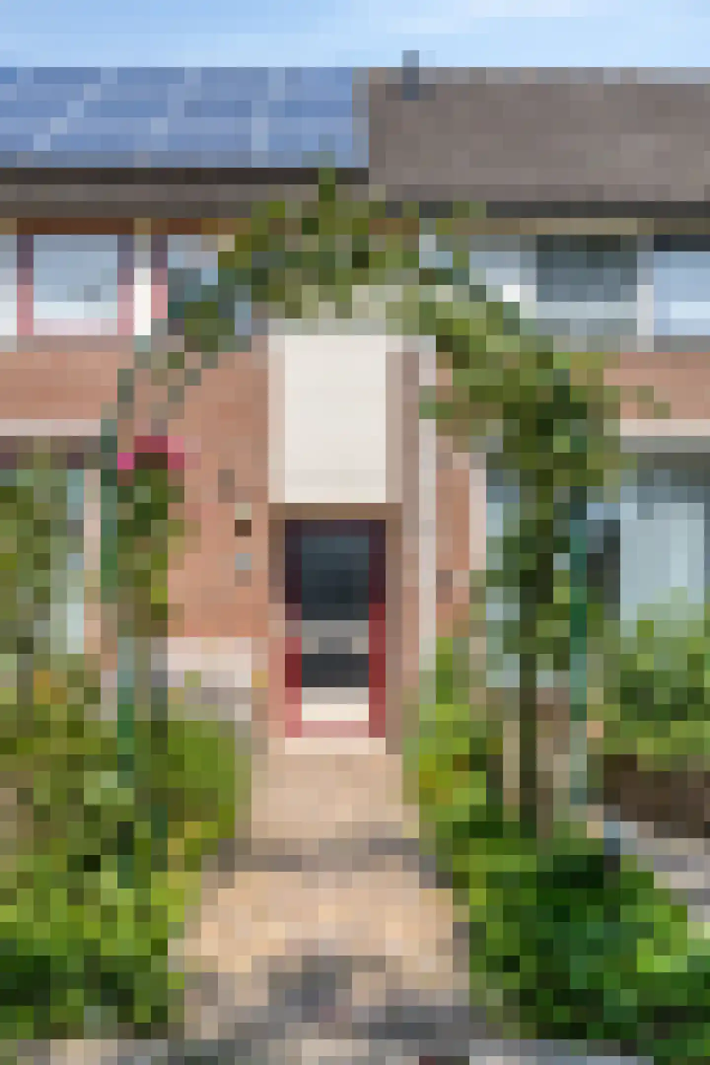 Eendvogelstraat 48 Heinkenszand thumbnail 4