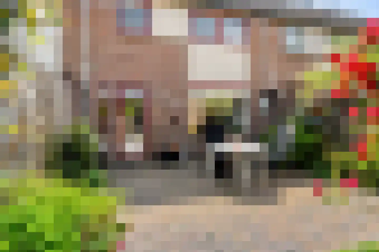 Eendvogelstraat 48 Heinkenszand thumbnail 43